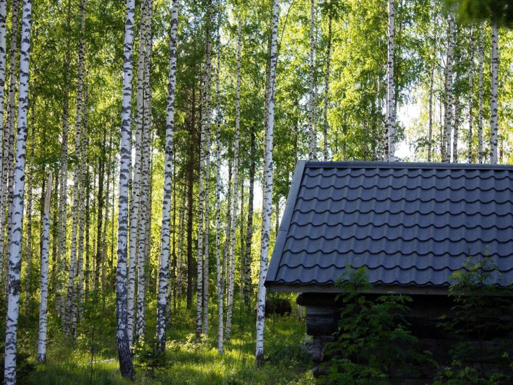 Bed and Breakfast Tarina-Aho à Vuonislahti Extérieur photo