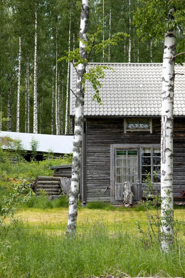 Bed and Breakfast Tarina-Aho à Vuonislahti Extérieur photo